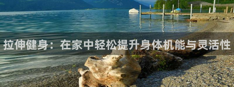 风速体育官方正版app娱乐平台:拉伸健身:在家中轻松提升身体